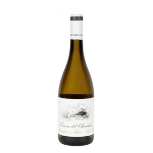 Bodega Santa Cruz ‘Cueva del Chamán’ sauvignon blanc 2025