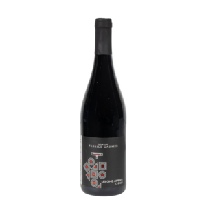 Domaine Fabrice Gasnier 'Les Cinq Arpents' Chinon rouge 2025