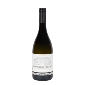 Sylvain Loichet Bourgogne aligoté 2024