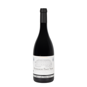Sylvain Loichet Bourgogne pinot noir 2023