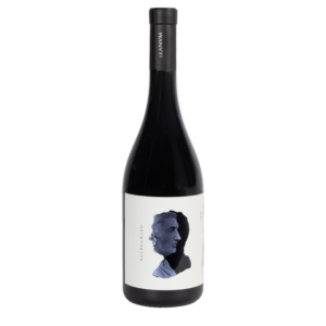 Cantine Teanum 'Otre' Negroamaro Puglia Rosso IGP 2022