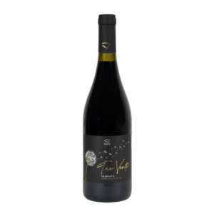 Cantine Birgi 'Tre Venti' Frappato Terre Siciliane IGP 2023